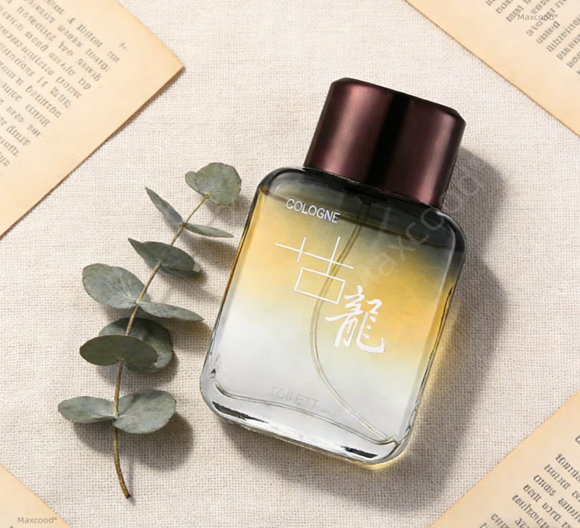 Парфюм Maxcood A Citrus Men Co – обзор и цена Perfume Fragrance Lasting