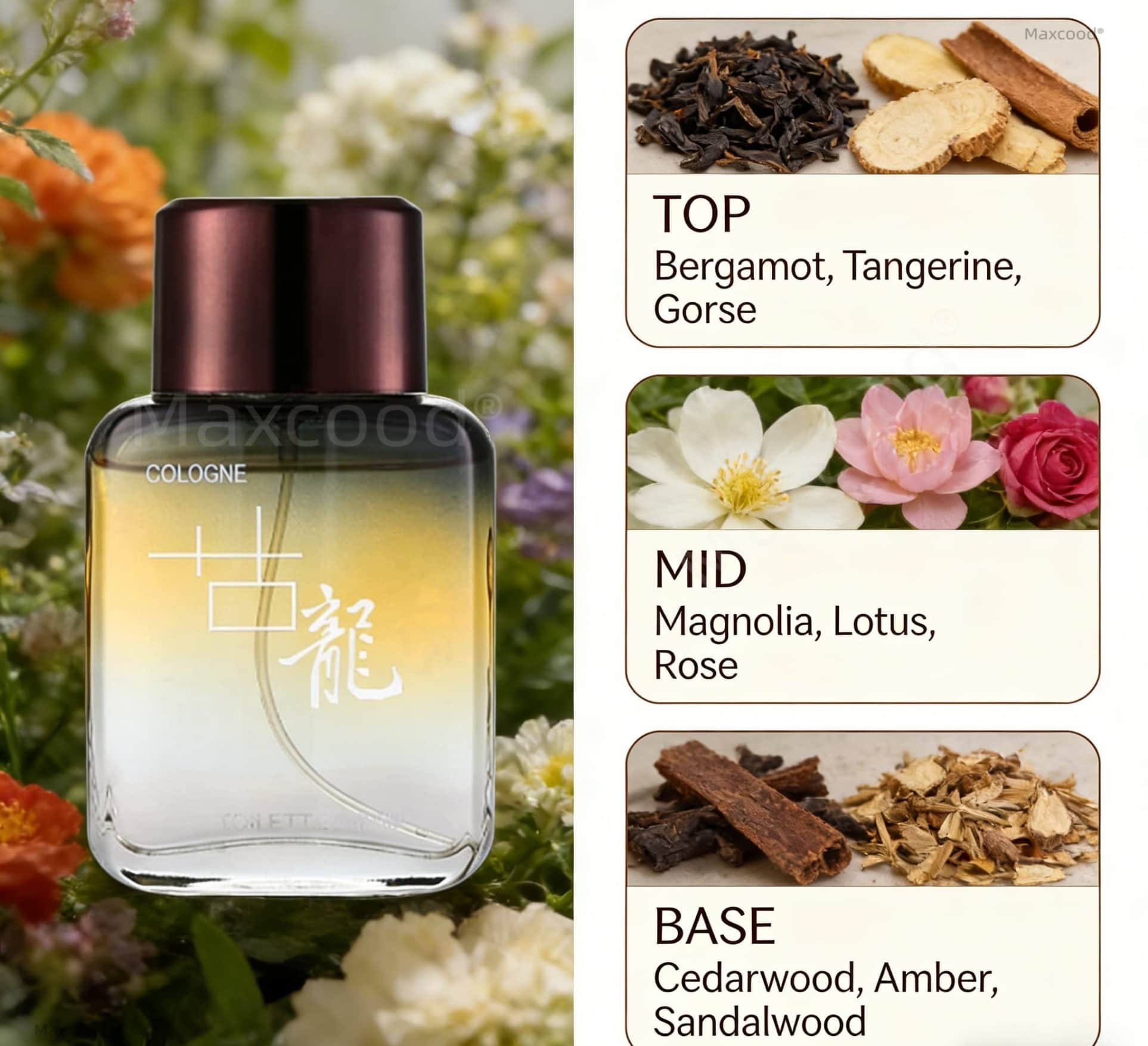 Парфюм Maxcood A Citrus Men Co – обзор и цена Perfume Fragrance Lasting